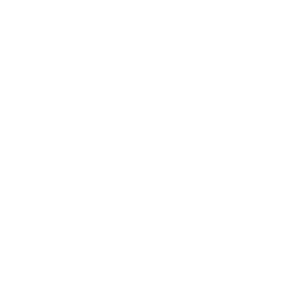 The Butcher's Dog Why Raw dog food?