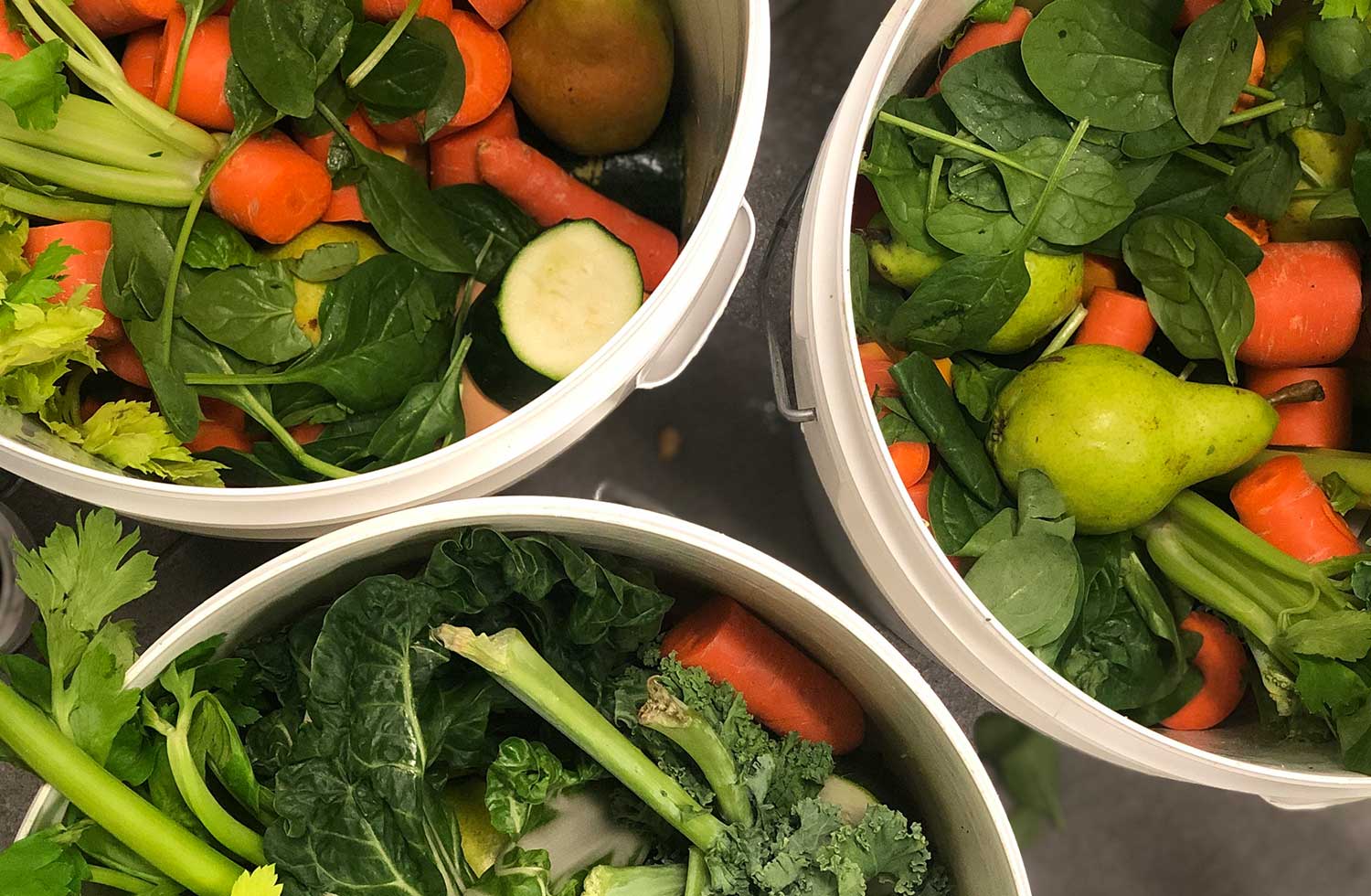 White buckets with leafy greens, zucchini, carrots and pears