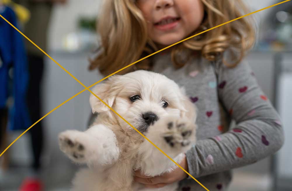 child holding puppy with outstretched paws