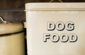 Dog food container