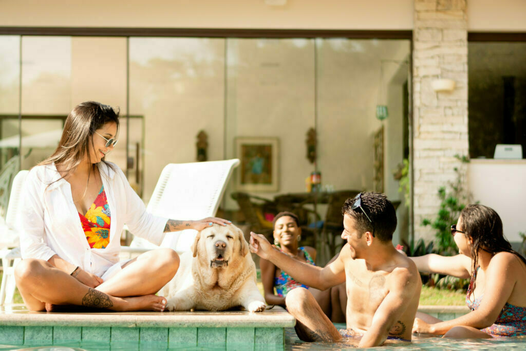 dog by pool with a group of humans