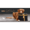$250 Gift Voucher