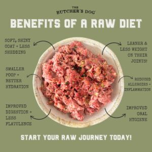 benefits of a raw diet for diabetes in dogs