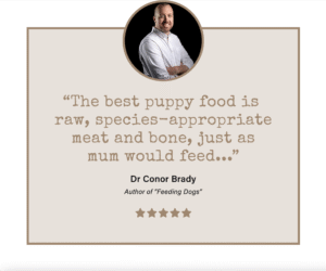 Dr Conor Brady Veterinarian