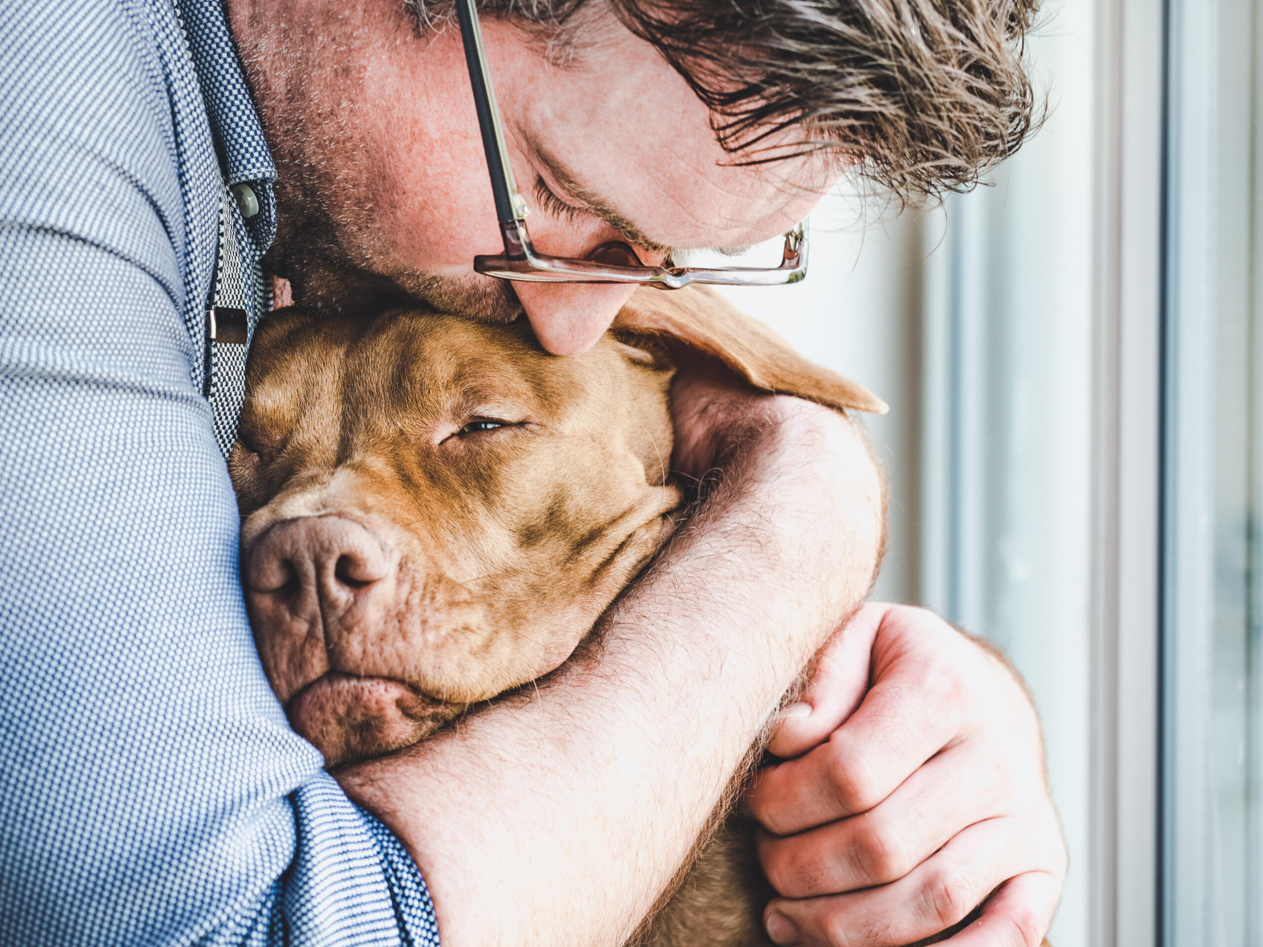 Cancer in Dogs - Part 1